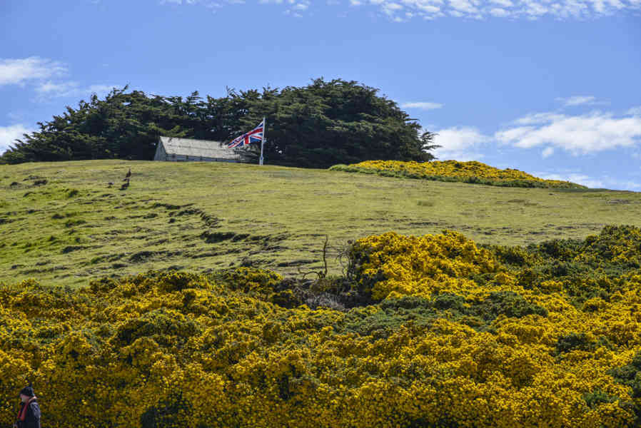 Islas Falkland o Malvinas 066.jpg